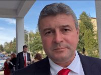 BPJ al PSD Suceava propune sancţionarea primarului de Fălticeni cu suspendarea din partid timp de 6 luni