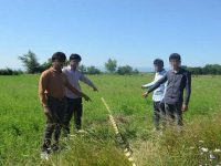 Patru tineri din Pakistan au intrat ilegal în România
