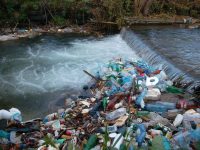 Primarii din Bosanci, Satu Mare şi Bogdăneşti au fost amendaţi cu câte 2.500 de lei