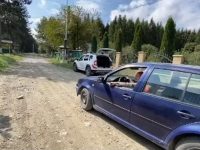 Dosar penal pentru tăiere şi furt de arbori nemarcaţi