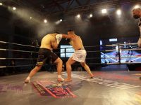 Gala Pitbull Fighting Network şi-a desemnat câştigătorii