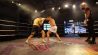 Gala Pitbull Fighting Network Denis Ceausu Lucian Berariu