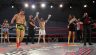 Gala Pitbull Fighting Network Dumitru Cavliuc Costin Dinu