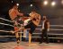 Gala Pitbull Fighting Network Hocz Csaba Caludiu Alexe