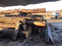 Amendă de 5.000 de lei pentru o femeie în curtea căreia activa ilegal o instalaţie de debitare a materialului lemnos