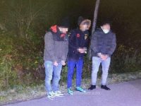 Cinci migranţi din Algeria şi Sudan, prinşi de poliţiştii de frontieră 