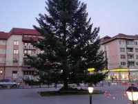 Târgul de Crăciun va fi interzis persoanelor nevaccinate