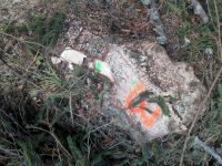Garda Forestieră Suceava a depistat tăieri ilegale într-o pădure privată din Vatra Moldoviţei