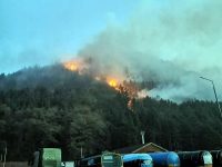 Incendiu de pădure în Oituz