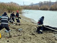 Misiune dificilă a ISU Suceava pentru salvarea unei vaci blocate în albia râului Siret