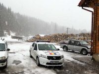 Percheziţii la Capu Câmpului, privind tăieri ilegale