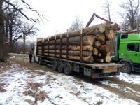 Camion încărcat cu lemn de lucru fără acte, depistat de poliţişti în curtea unui bărbat din Stulpicani