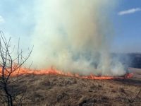 Trei incendii de vegetaţie uscată în Frătăuţii Noi, Forăşti şi Bălineşti au pus în pericol construcţii şi terenuri