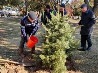 „Vrem să plantăm cât mai mulți arbori”