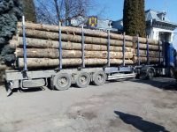 Patru transporturi ilegale de lemn depistate într-o singură zi!