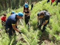 Miodrag Belodedici, Lucian Sănmărtean şi Marius Niculae au participat la o acţiune de reîmpădurire