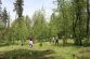 Reimpadurire-apa-Bucovina-2022-Parcul-central-V-Dornei
