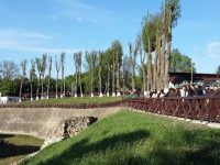 Muzeul Naţional al Bucovinei va marca „Noaptea Muzeelor”