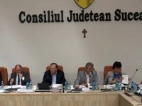 Asistenţa socială, cultura şi activităţile de tineret susţinute cu titlu gratuit cu 700.000 de lei