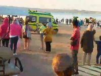 Au fost stabilite cauzele pentru care suceveanca Roxana Donisan a fost atacată de un rechin tigru