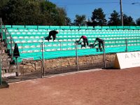 Refresh total la Foresta Suceava