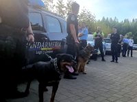 Poliţiştii vor face controale pentru consum de alcool şi substanţe interzise