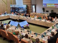 Preocupările noastre sunt de a stimula întoarcerea celor plecaţi în străinătate