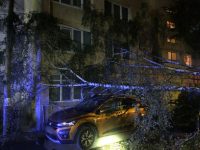 Furtuna a smuls un acoperiş şi a rupt copaci şi stâlpi din mai multe localităţi
