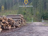 Poliţia a făcut cunoscute primele rezultate
