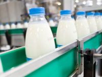 Producătorul sucevean de lactate Bucovina SA a fost preluat de cea mai mare fabrică de lactate din Republica Moldova