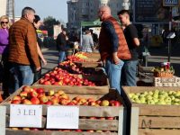 Târgul Mărului de la Fălticeni