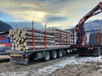 O hotărâre care modifică regulamentul de valorificare a masei lemnoase