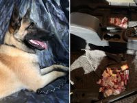 Poliţiştii din PTF Siret au găsit peste 2.500 de pachete de ţigări ascunse în podeaua unui autoturism