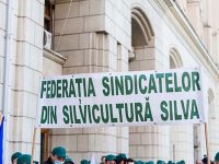 Silvicultorii ies în stradă şi protestează faţă de tentativa de „privatizare” a pădurilor României