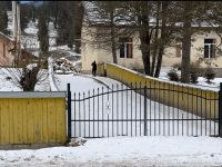 Un copil a fost atacat şi muşcat de câini fără stăpân în curtea şcolii la Argel, sub geamurile cancelariei profesorilor!