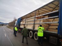 Garda Forestieră Suceava a depistat trei firme din Mălini cu transporturi fictive de lemn