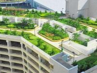 Discuţii în CL Suceava legate de preţul parcării supraterane