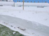 Meciul Foresta Suceava – Bucovina Rădăuţi se va juca luni