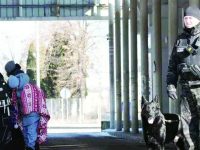 Percheziţii ale Parchetului European la Biroul Vamal Siret