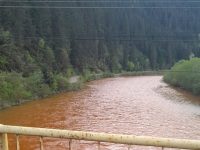 Evoluţia poluării râului Bistriţa şi efectele acesteia sunt monitorizate