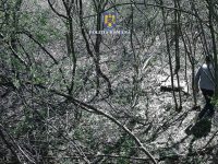 Un bărbat din Dărmăneşti a ajuns în arest pentru braconaj