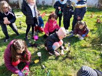 „Săptămâna verde” la Constantin Ungureanu-Box, în „Casa Muzicii”