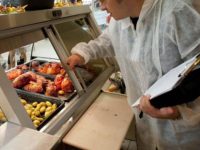Amenzi de aproape 600.000 de lei aplicate de inspectorii sanitari veterinari suceveni în sezonul estival