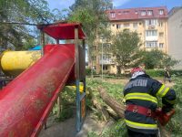 Suceava - Un copil a fost rănit într-un spaţiu de joacă de un copac care a căzut