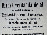 CERNĂUŢI – BUCOVINA, LA SCARA 1/1