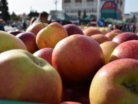„Târgul Mărului”: tradiţie, inovaţie şi produse locale de calitate