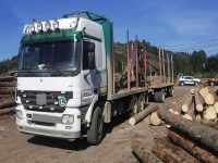 Camioane de 70.000 euro, confiscate de poliţiştii suceveni pentru transport ilegal de material lemnos