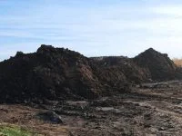 Încă o amendă de 70.000 de lei aplicată firmei din Dorneşti, pentru depozitări de deşeuri de origine animală pe un teren agricol