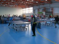 Un spectacol de excelenţă în tenis de masă
