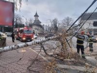 Un copac a căzut într-o intersecţie